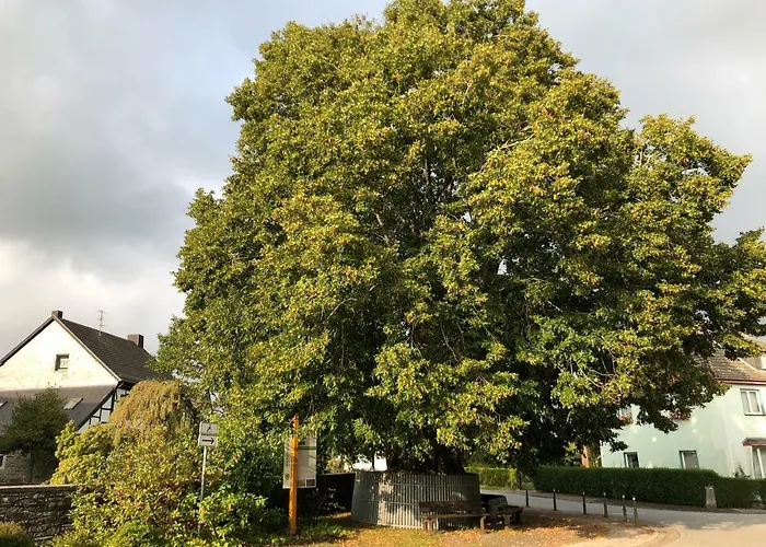 Heckenstuebchen * Simmerath